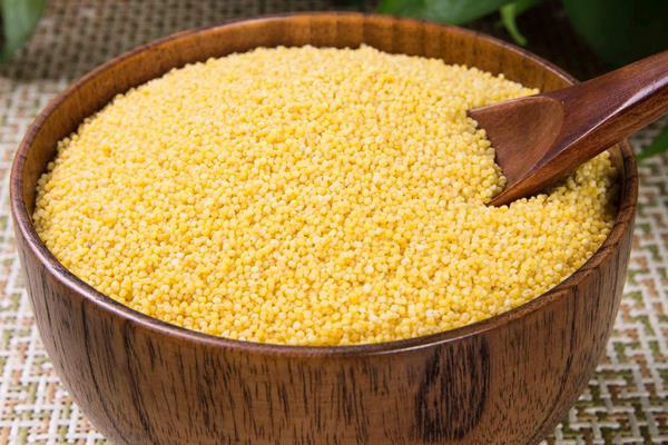 小米出蟲了還能吃嗎?小米的小白蟲和飛蛾怎么產生的?