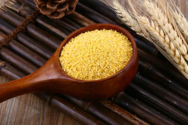 小米出蟲了還能吃嗎?小米的小白蟲和飛蛾怎么產生的?