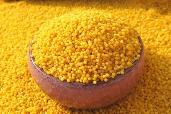 小米出蟲了還能吃嗎?小米的小白蟲和飛蛾怎么產生的?