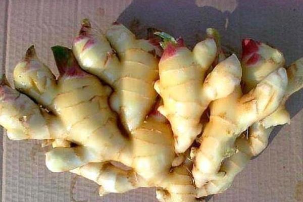 姜長牙了還可以吃嗎?變綠了呢?