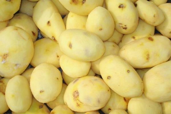 土豆放冰箱變黑色還能吃嗎?附原因