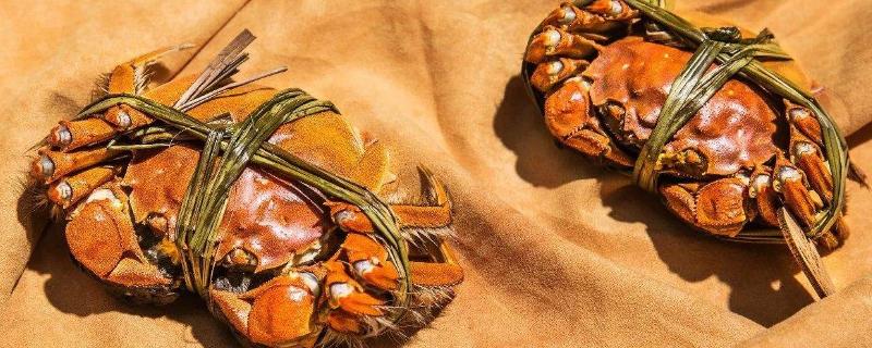 大閘蟹剛剛死了能不能吃了