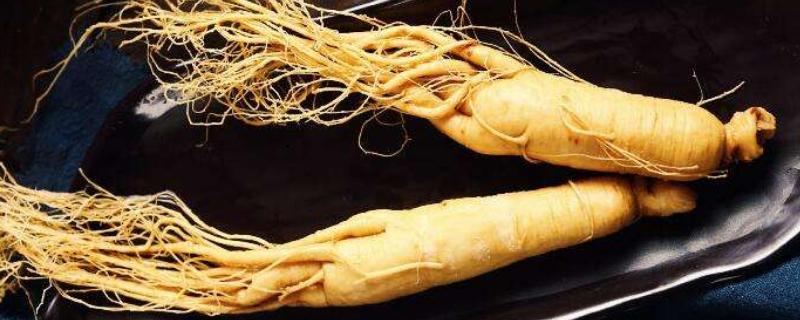 蘭茸參多少一斤?蘭茸參是什么(顏色)?