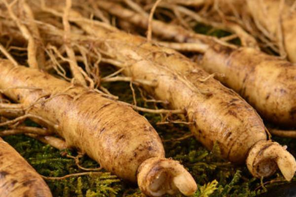 蘭茸參多少一斤?蘭茸參是什么(顏色)?