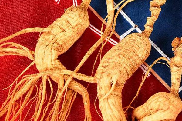 蘭茸參多少一斤?蘭茸參是什么(顏色)?