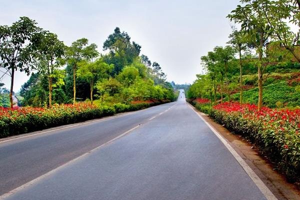 農村公路養護模式幾種