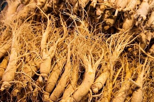 蘭參多少一斤?蘭參是什么(顏色)?