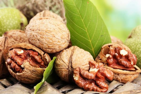 去年的核桃今年還能吃嗎