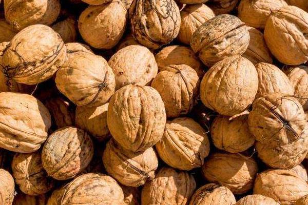 去年的核桃今年還能吃嗎