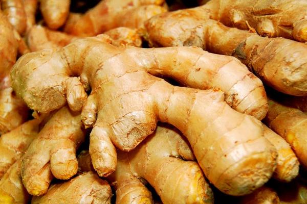 發了芽的姜還能吃嗎，綠色的芽