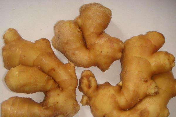 發了芽的姜還能吃嗎，綠色的芽