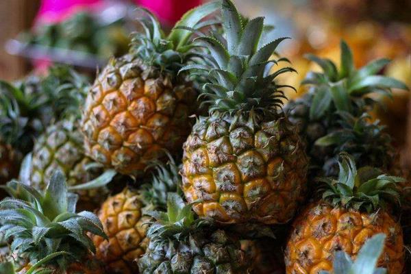 木瓜可以放冰箱里保存嗎？冷藏還是冷凍？