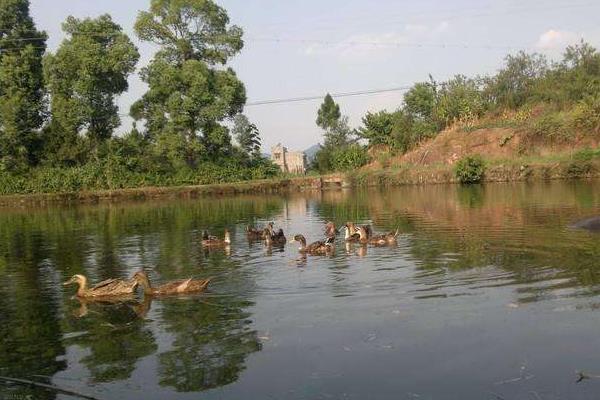 10畝小型生態(tài)農(nóng)場(chǎng)規(guī)劃