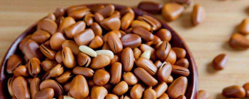 松子發(fā)芽了還能吃嗎？放了很久的松子會(huì)發(fā)芽嗎？