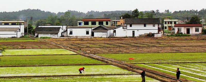 在農村除了種植養殖，還有什么生意可以做