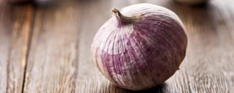 獨頭蒜的種植方法和時間，對土壤氣候有什么要求