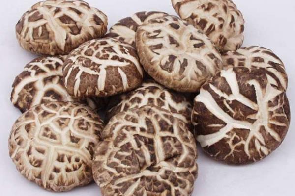 香菇怎么種植方法,附栽培注意事項