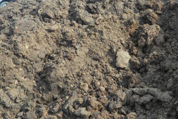 簡單的牛糞腐熟方法