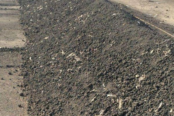 簡單的牛糞腐熟方法