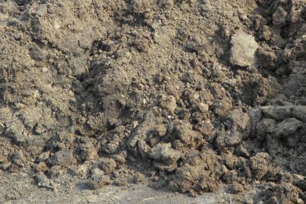 簡單的牛糞腐熟方法