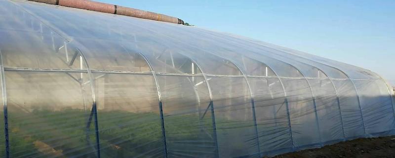 大棚的蓋簿膜方法