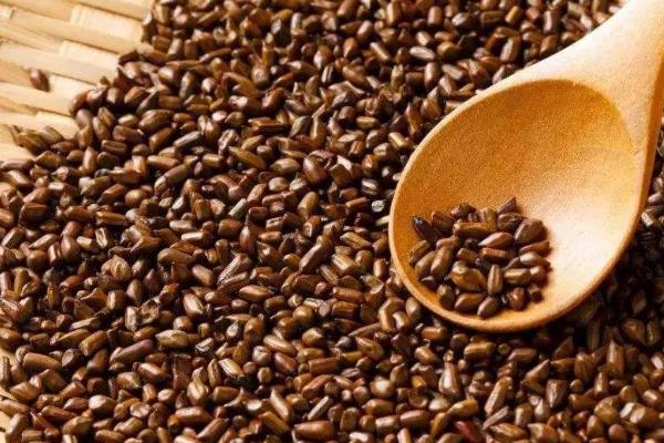 決明子怎么用效果最好（附功效與作用）