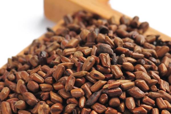 決明子怎么用效果最好（附功效與作用）