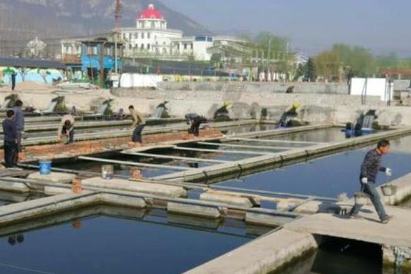 高密度養(yǎng)殖魚池的建設(shè)方案