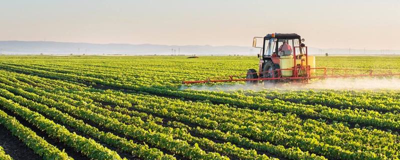 農業種植計劃書怎么寫，精選2篇范文僅供參考