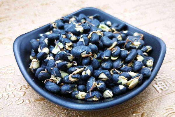 黑豆發芽了還能吃嗎，還能煮粥打豆漿嗎