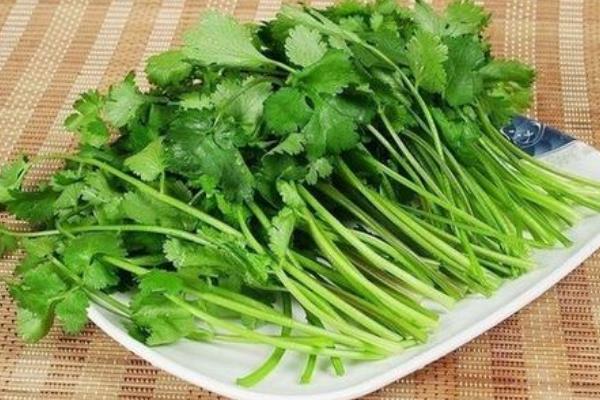 香菜可以生吃嗎？有細(xì)菌嗎