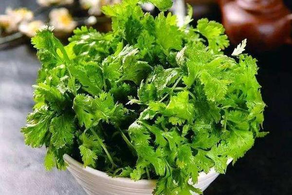 香菜可以生吃嗎？有細(xì)菌嗎