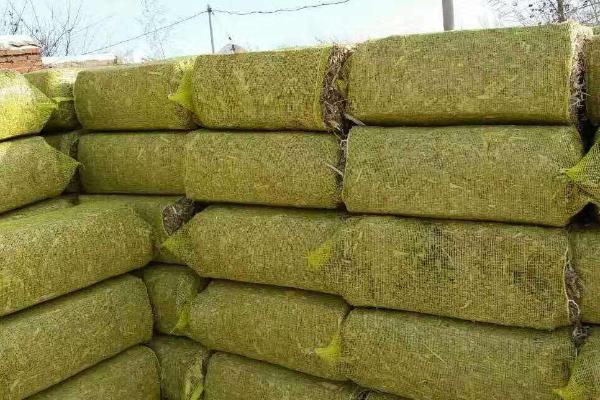 青儲飼料的制作方法，要用什么