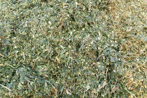 青儲飼料的制作方法，要用什么