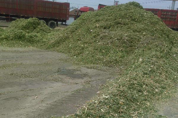 青儲飼料的制作方法，要用什么