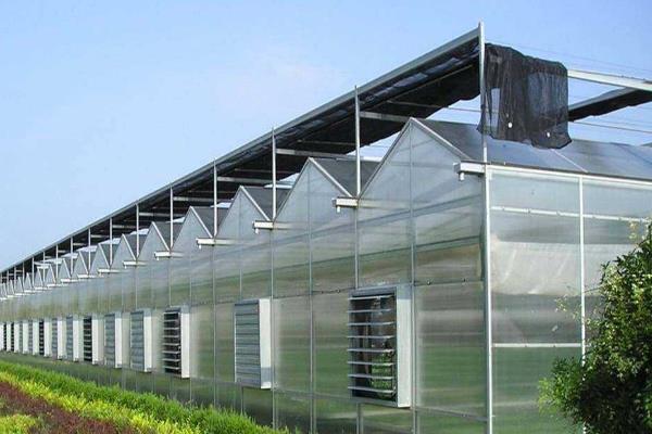 智能溫室大棚造價表,看看都要多少錢一平方