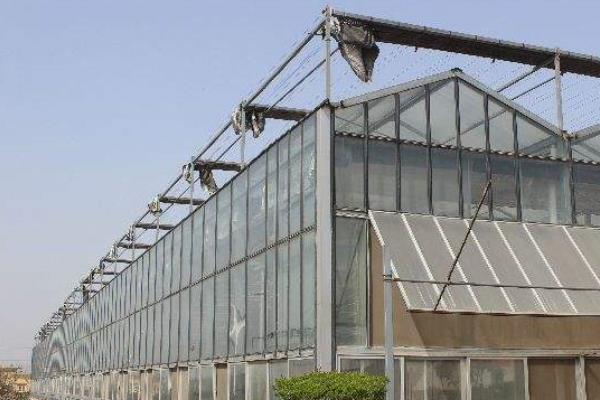 智能溫室大棚造價表,看看都要多少錢一平方
