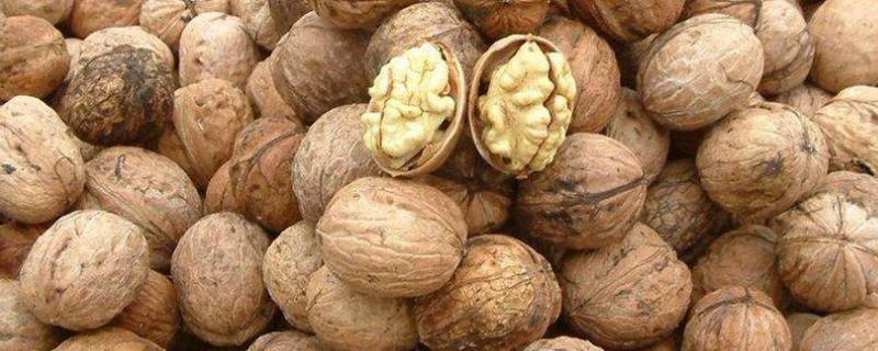 去年的核桃今年還能吃嗎