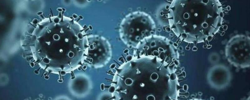 h7n9是什么病毒，感染人嗎