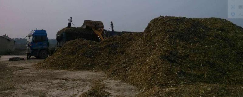 青儲飼料的制作方法，要用什么