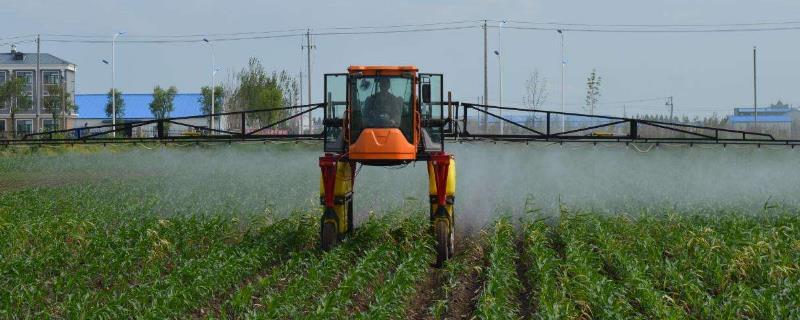 一天中什么時間打藥好