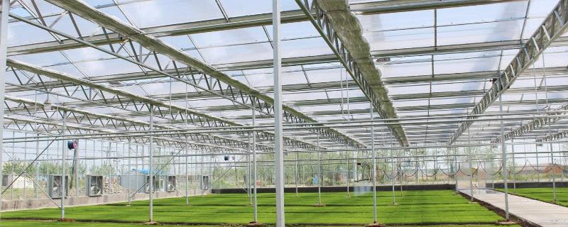 智能溫室大棚造價表，看看都要多少錢一平方