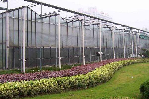 10畝連棟大棚造價多少,連棟大棚多少錢一平方,連棟大棚怎么除雪?