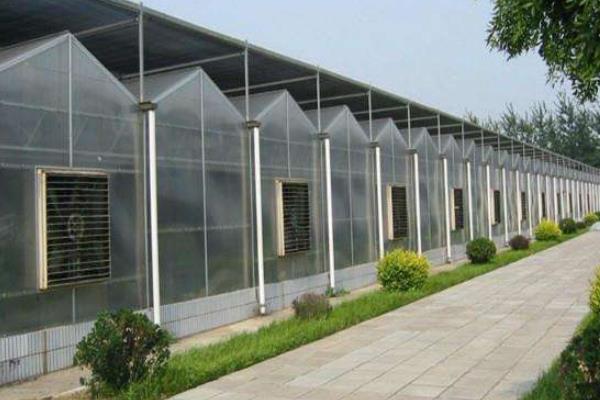 10畝連棟大棚造價多少,連棟大棚多少錢一平方,連棟大棚怎么除雪?