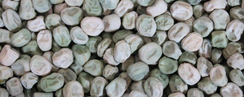 賣種子利潤大嗎？需要什么手續？用什么營銷方法？