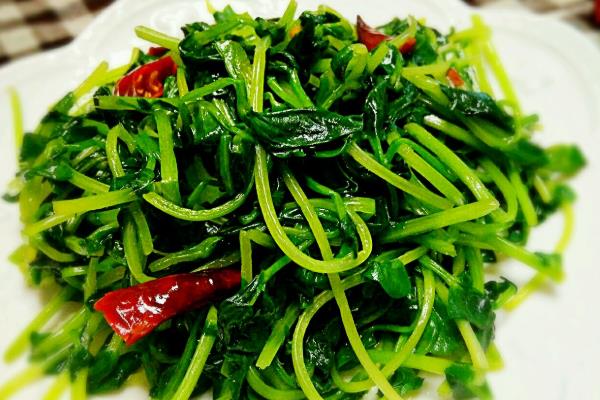 蘭豆苗有什么功效，蘭豆苗怎么炒好吃