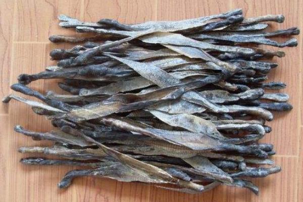 干蚯蚓收購是騙局嗎,干蚯蚓多少錢一斤