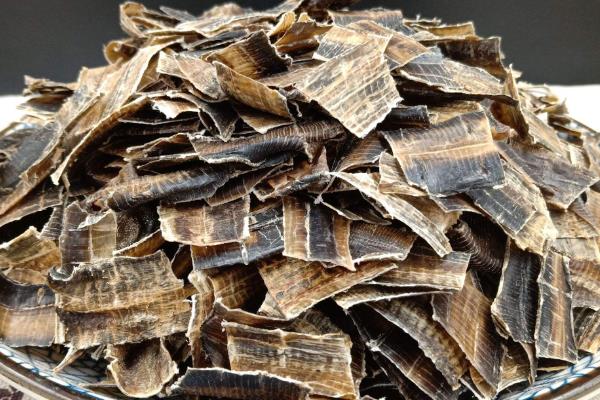 干蚯蚓收購是騙局嗎,干蚯蚓多少錢一斤