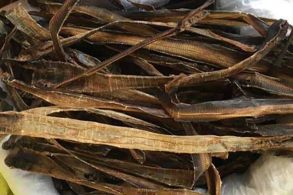 干蚯蚓收購是騙局嗎,干蚯蚓多少錢一斤