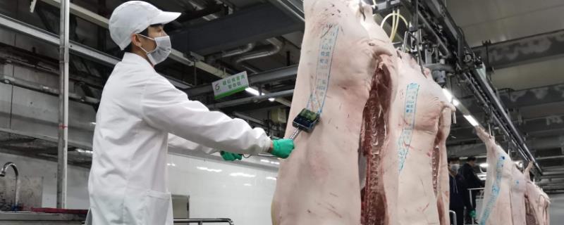 屠宰場利潤大嗎，屠宰場需要什么手續(xù)